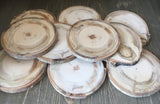 Set of 10 (4-4.5") Large Wood Slices