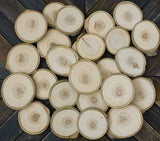 Set of 25 2"-3" Wood Slices